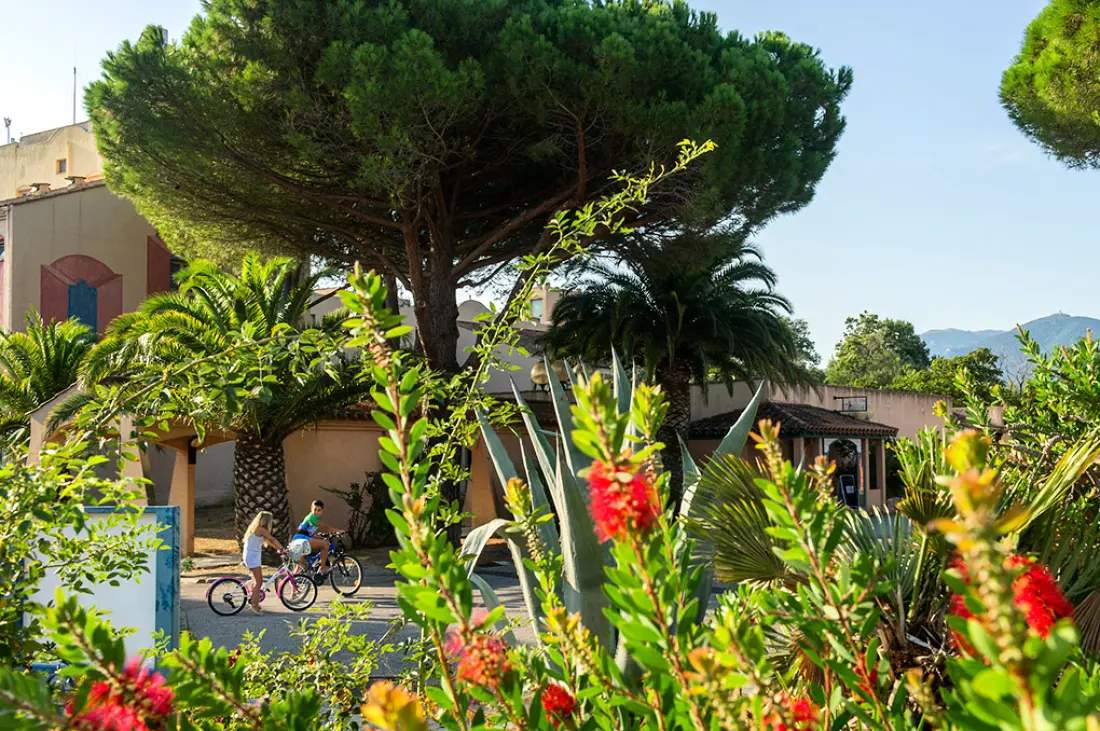 Residencia Goélia Argelès Village Club