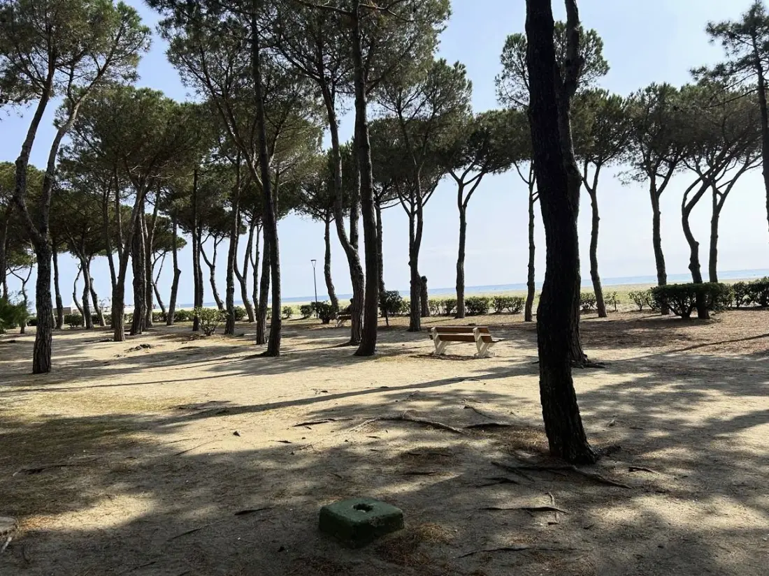 Mallorca rezidencia