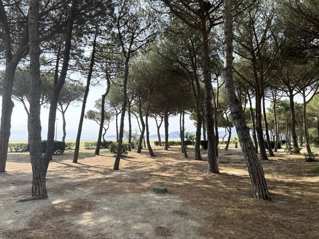 Mallorca rezidencia