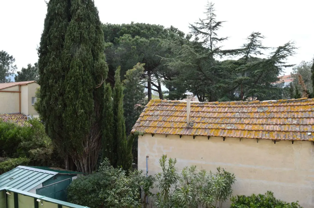 Residence Mimosas