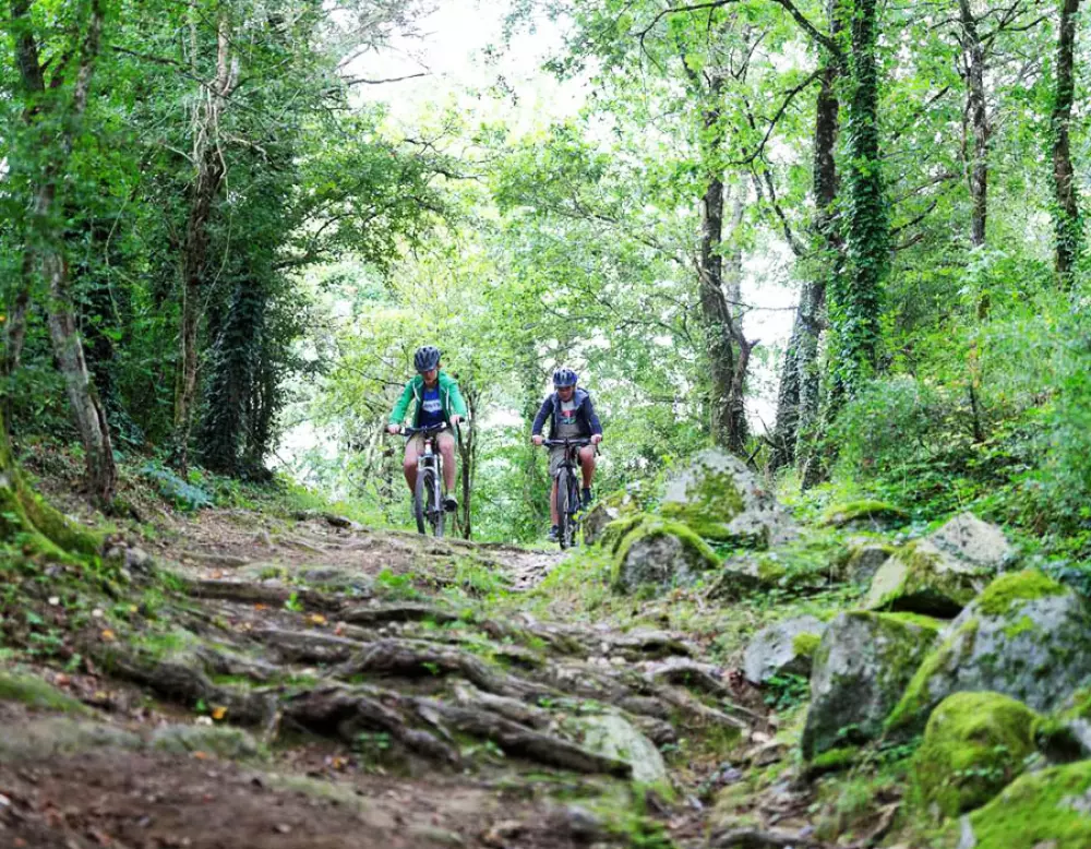 Camping Au Lac d'Hautibus3 étoiles★★★