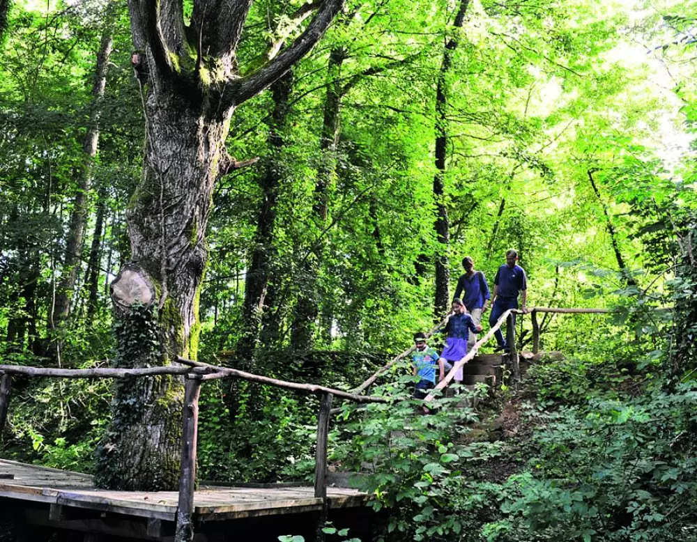 Camping Au Lac d'Hautibus3 étoiles★★★