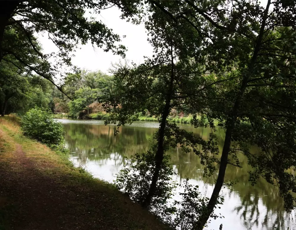 Camping Au Lac d'Hautibus3 étoiles★★★