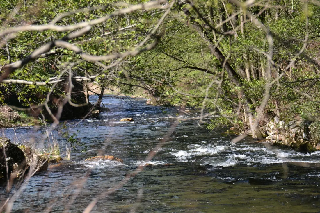 Camping du Viaduc3 Sterren★★★