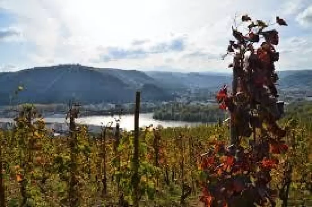 Campsite Ushuaia Villages Le Viaduc 3 Stars★★★