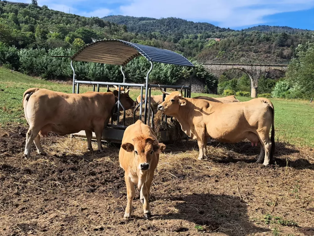 Campsite Ushuaia Villages Le Viaduc 3 Stars★★★