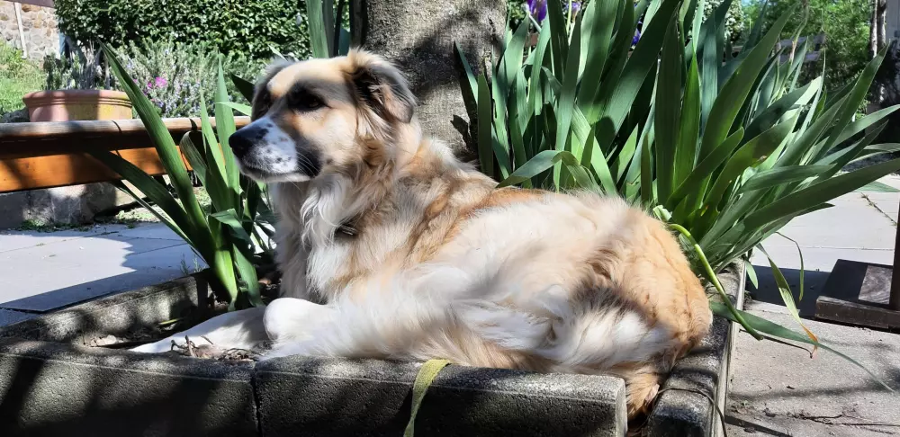 Campsite Ushuaia Villages Le Viaduc 3 Stars★★★