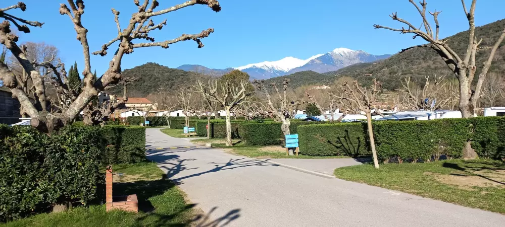 Camping Paradis le Vallespir3 étoiles★★★
