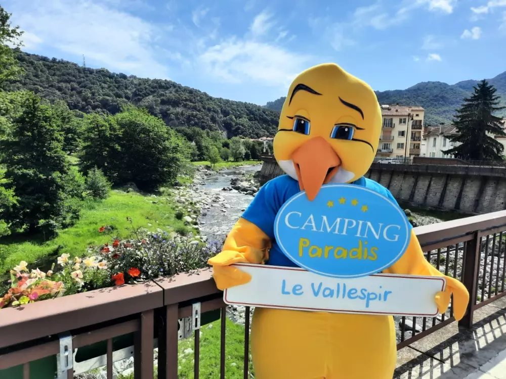 Camping Paradis le Vallespir3 étoiles★★★