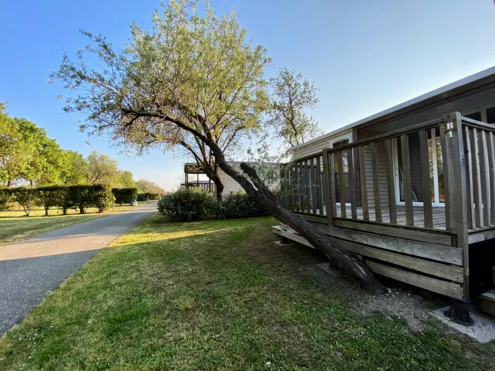 Campingplatz Domaine du Crin Blanc3 Sterne★★★