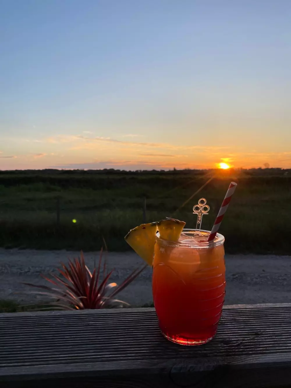 Campingplatz Domaine du Crin Blanc3 Sterne★★★