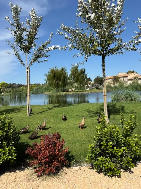 Le Mas Caladoc – Luxury Domaine With Private Spa in Provence
