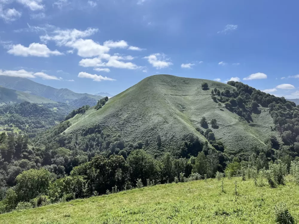 Bele Ame - Paket Tiny House