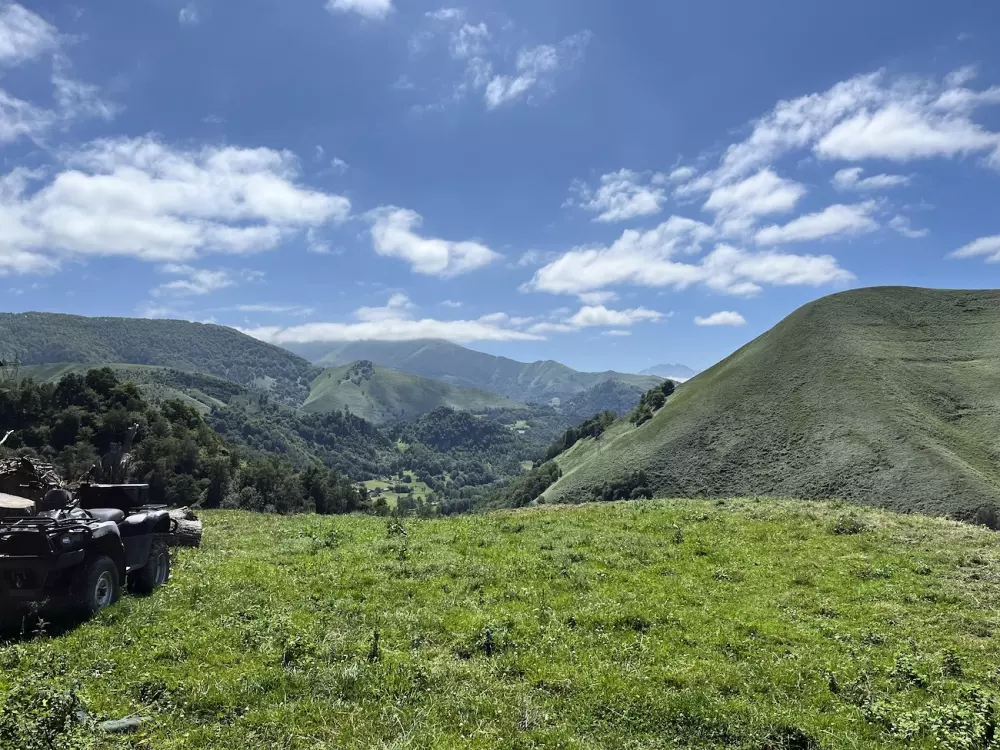 Bele Ame - Paket Tiny House