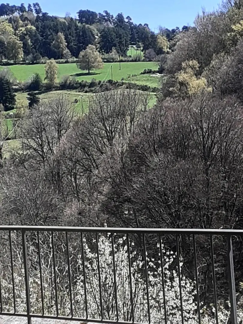 Gîte de France Gîtes de France d'Arzenc d'Apcher 2 Ähren