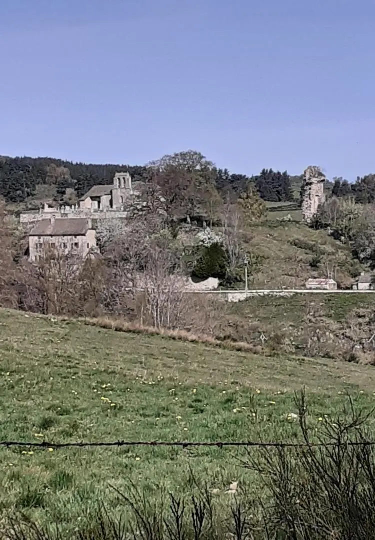 Gîte de France Gîtes de France d'Arzenc d'Apcher 2 Ähren