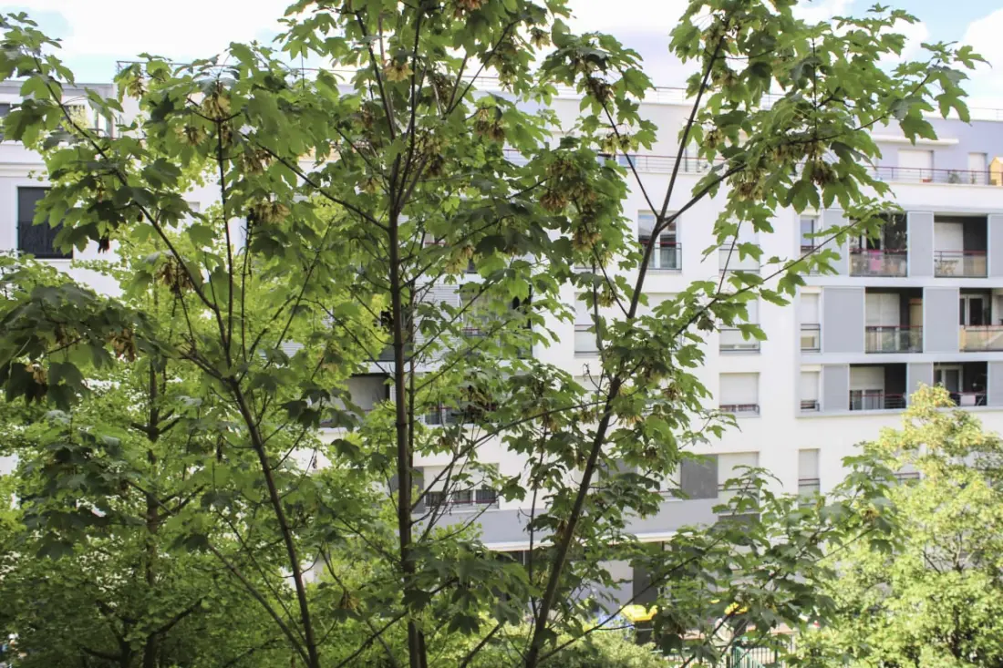 Appartement met 1 Slaapkamer en Tuin