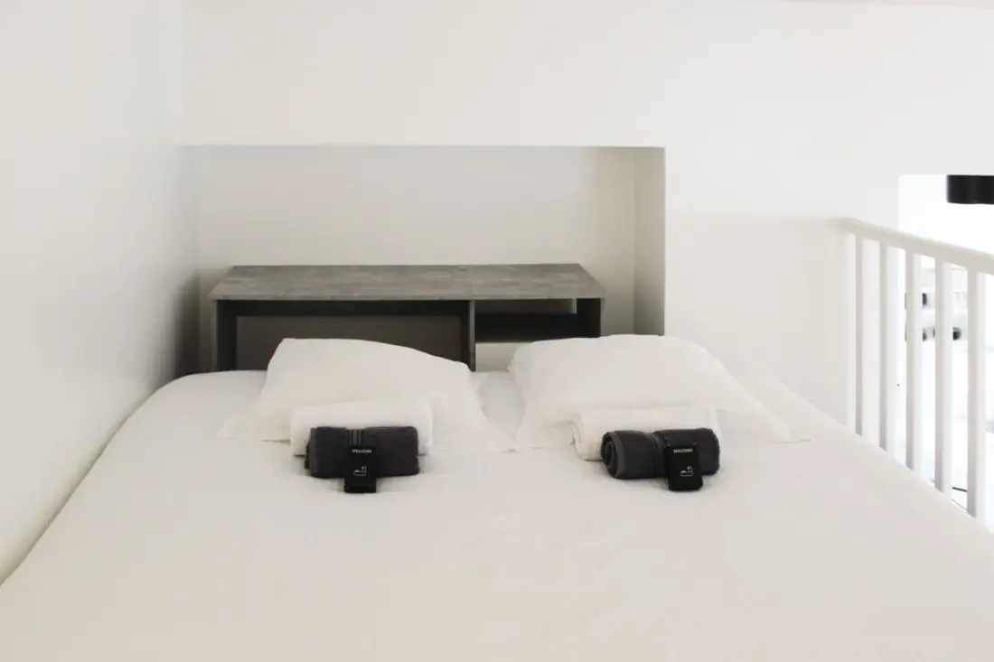Lichtgevende appartement met Mezzanine in Asnières
