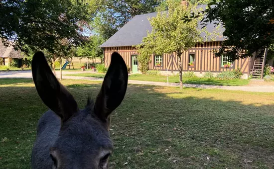 Location de Vacances Auberville-la-Campagne