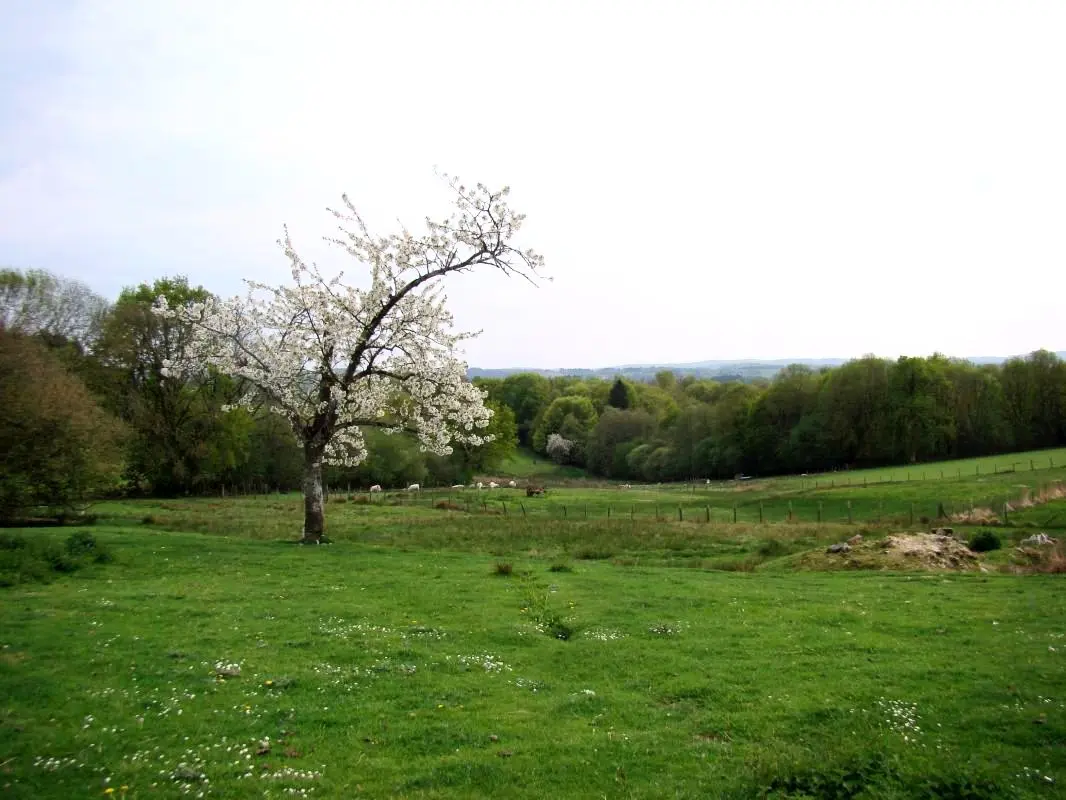 Gîte de France Négrignas 2 oren