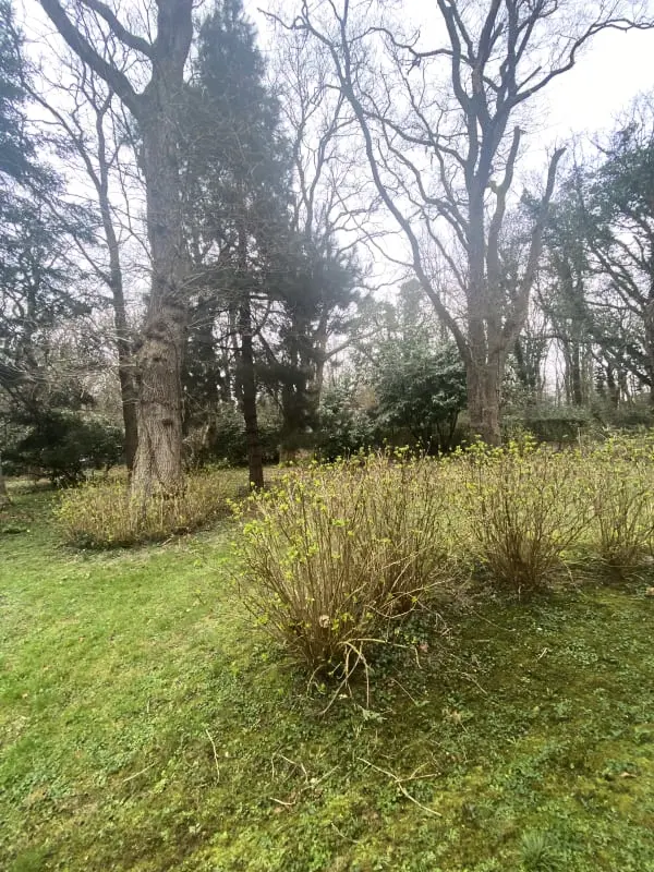 Residence Mer & Bois De Cise: Egyéni ház a nagy kerttel