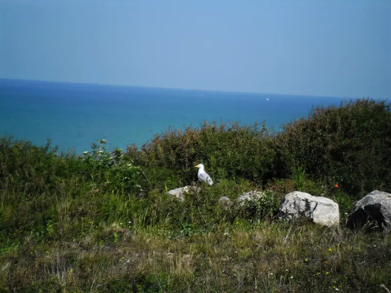 Gîte de France Gîtes de france® - Dovess in Normandie 3 fülben