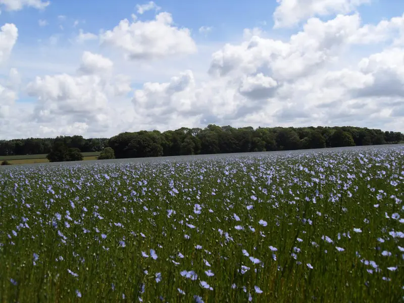 Gîte de France Gîtes de france® - Dovess in Normandie 3 fülben