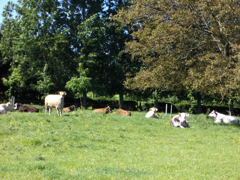 Gîte de France Gîtes de france® - Dovess in Normandie 3 fülben
