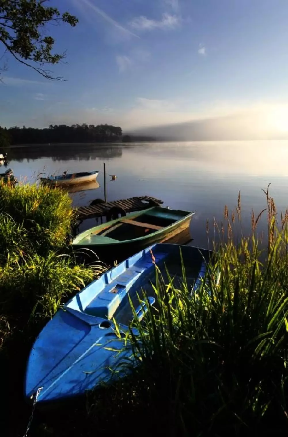 Camping LANDES BLEUES 4 étoiles★★★★