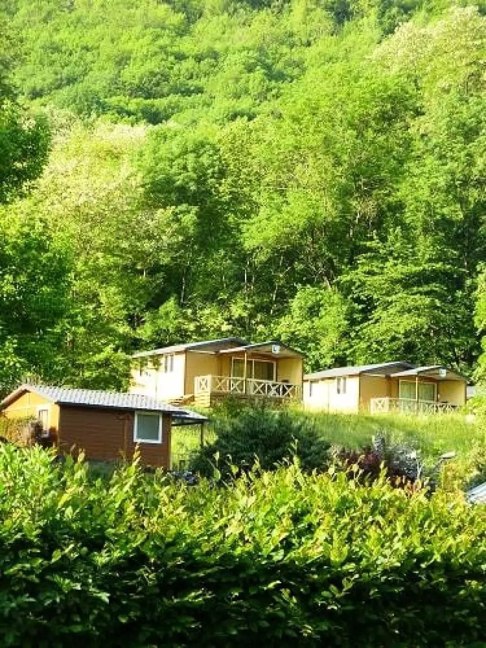 Blomster Camping LA BEXANELLE