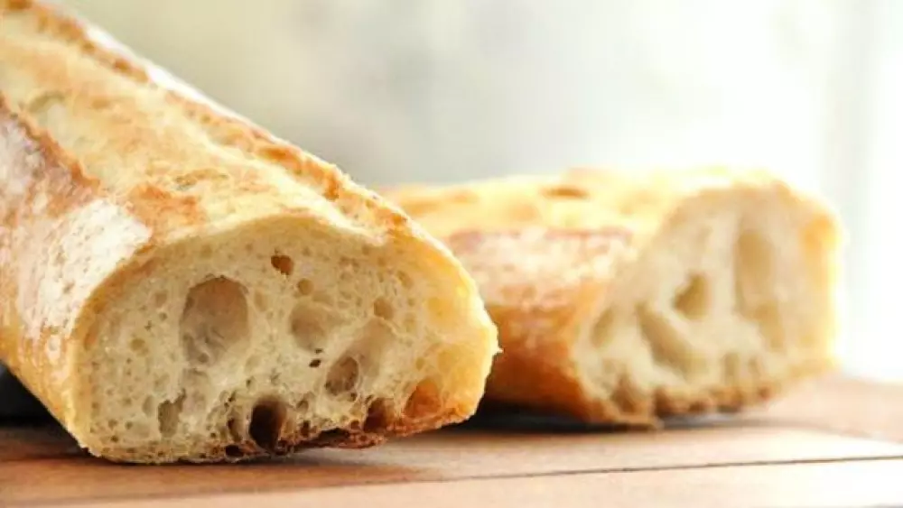 Blomster Camping LA BEXANELLE