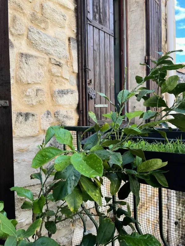 Nest ruhig mit Terrasse im Intramural