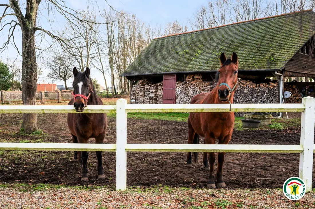 Gîte de France Gîtes de france® - gîte de beauprovider 3 fül