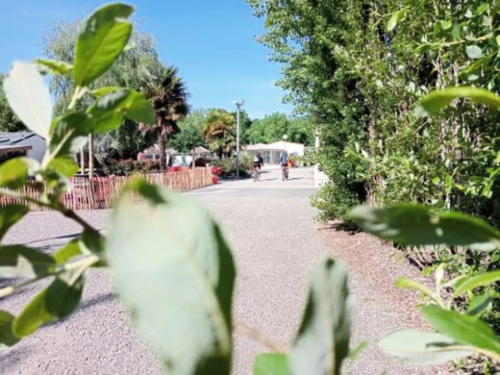 Camping Les Mancellieres 4 Estrellas★★★★