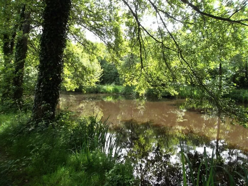 Fiore Camping Beauchêne 3 Stelle★★★