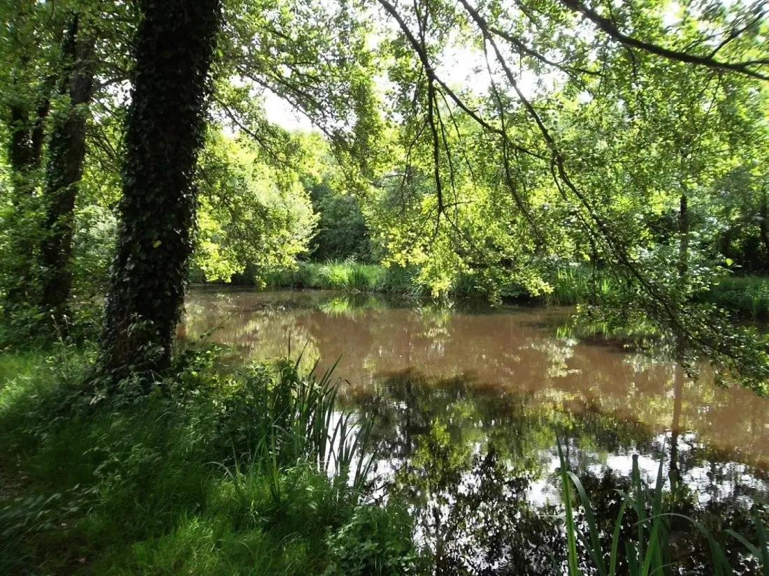 Blumen Camping Beauchêne 2 Sterne★★