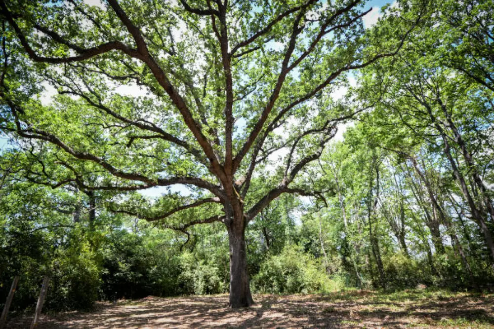 Résidence Le Château de Jouarres 3 étoiles★★★
