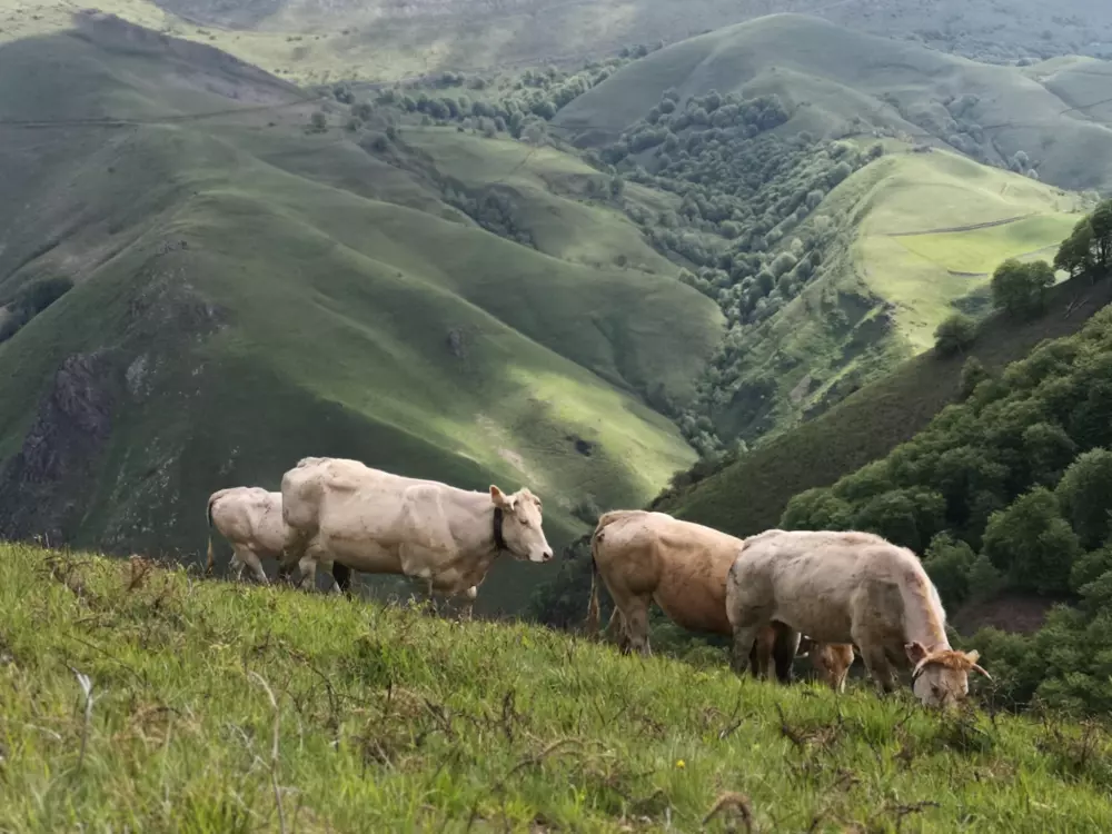 Camping Landes Azur3 Sterren★★★