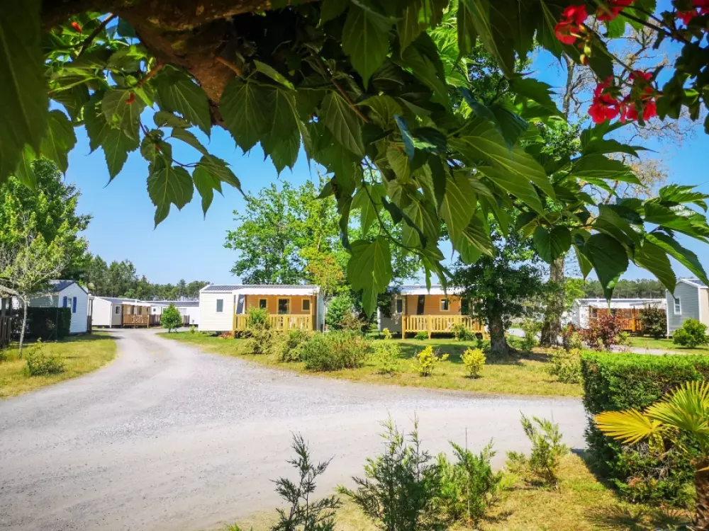 Camping Landes Azur3 Sterren★★★