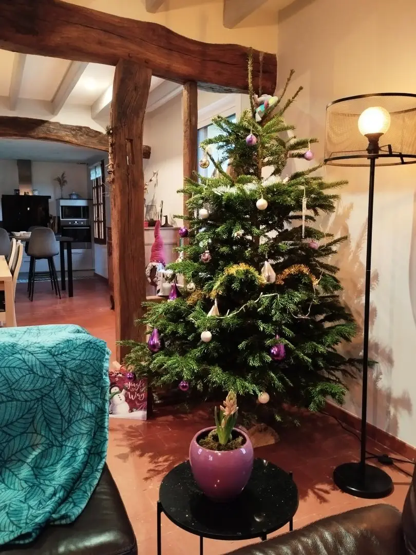 Gîte de France Gîtes de france® - Les cseresznyege 3 fül