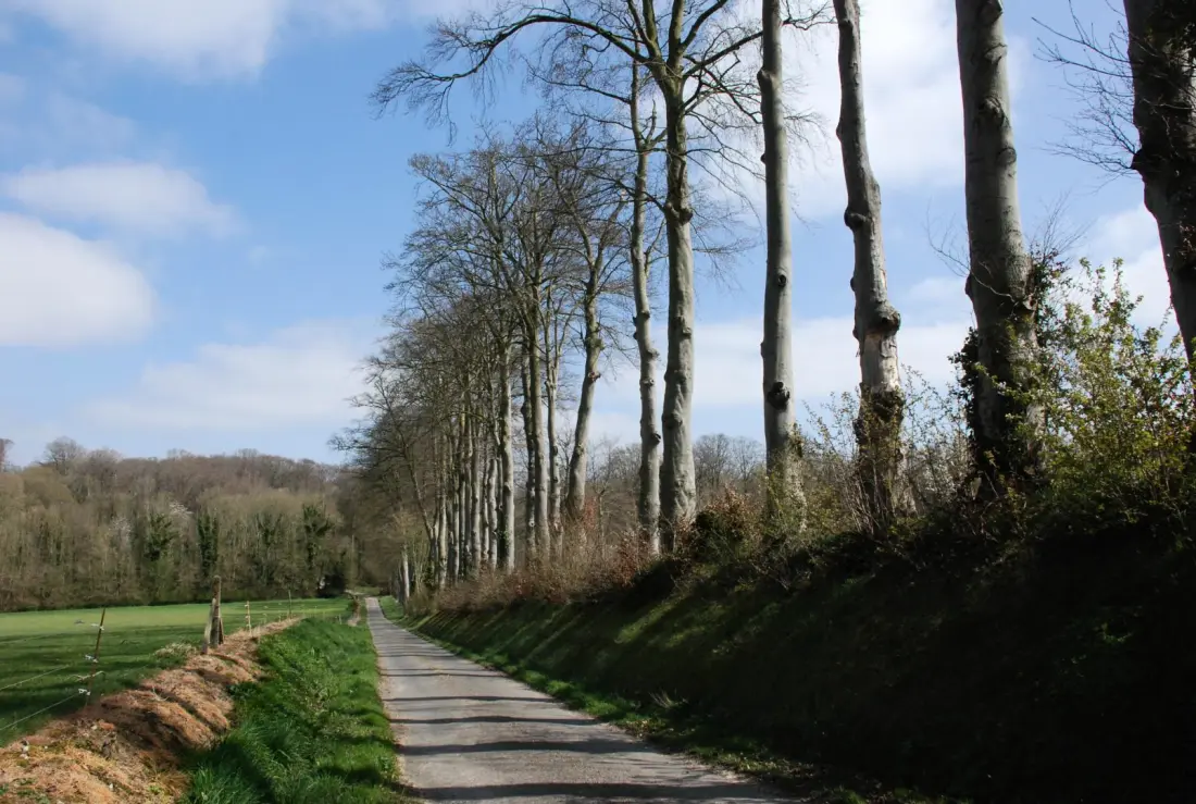 Gîte de France Gîtes de france® - Les cseresznyege 3 fül
