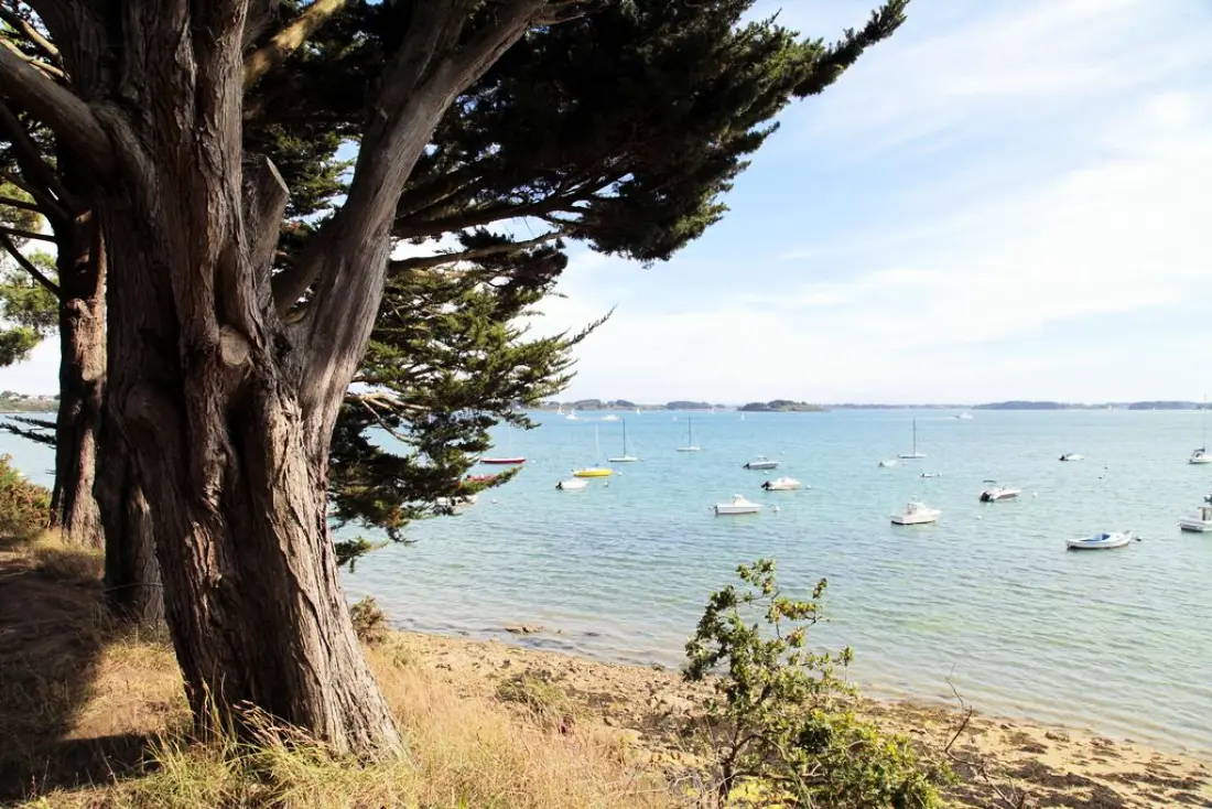 Rezydencja Odalys Les Îles du Morbihan