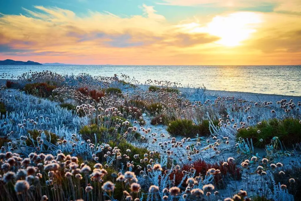 Campingplatz Baia Paradiso
