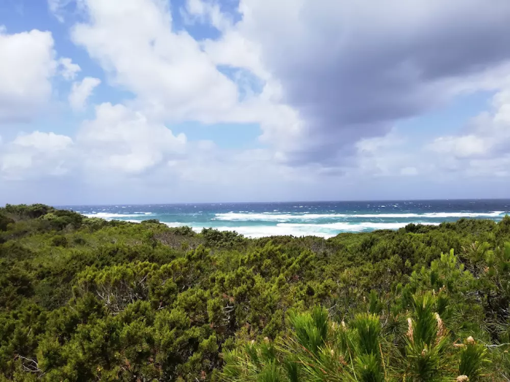 Camping Village Baia Paradiso3 Stjerner★★★