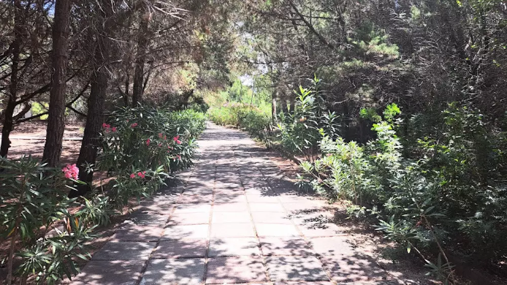 Camping Village Baia Paradiso3 Stjerner★★★