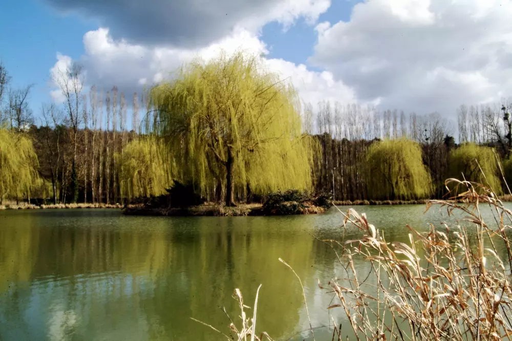 Campsite maeva Getaways La Rivière Dorée 3 Stars★★★