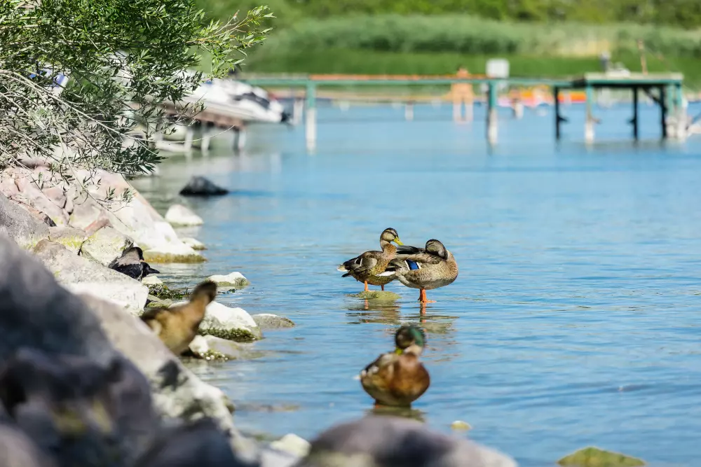 Campsite Strand-Holiday 3 Csillagok★★★