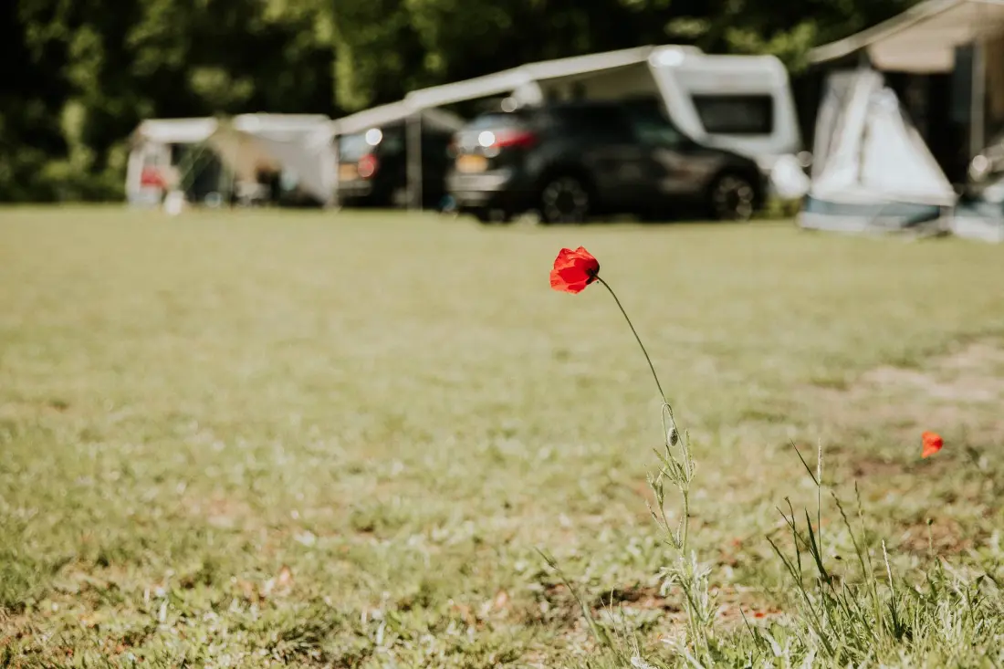 Campingbedrijf Si-Es-An