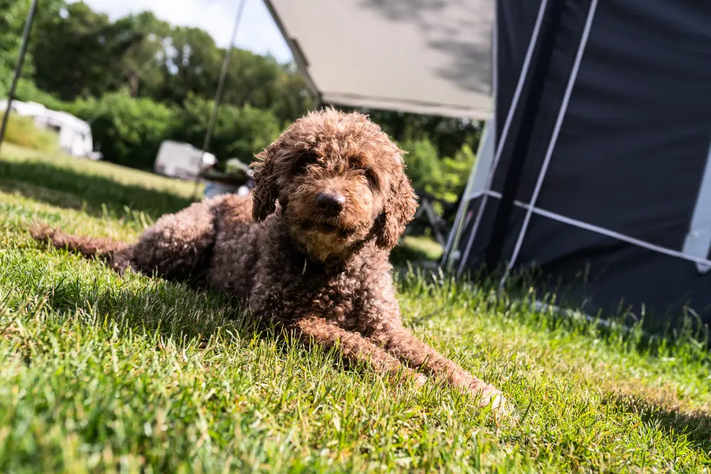 Campingbedrijf Si-Es-An