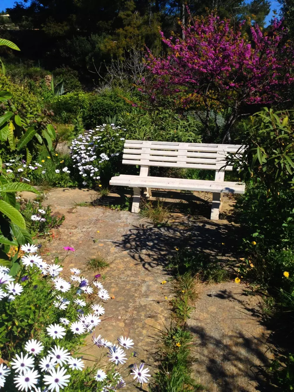 Residence Boulevard des Graviers 386 - maeva Home